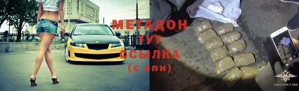 индика Алзамай