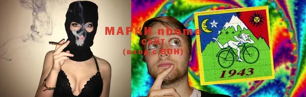 индика Алзамай