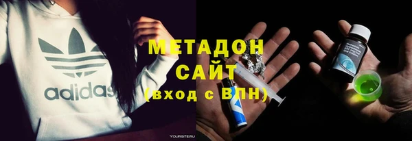 индика Алзамай