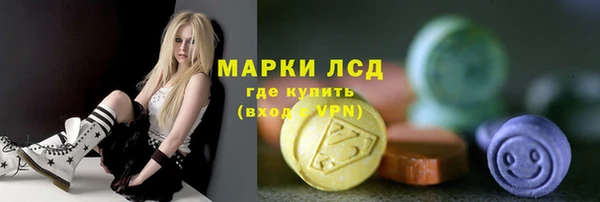 индика Алзамай