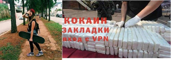 индика Алзамай
