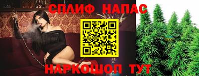 ALPHA PVP Гусев