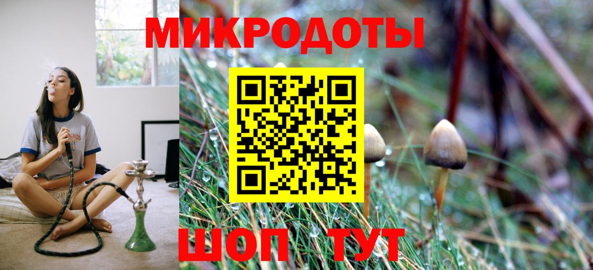 купить наркоту  Псилоцибиновые грибы Psilocybe  Вход с VPN  Грязи 