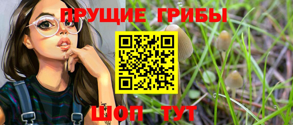 Галлюциногенные грибы ЛСД Грязи